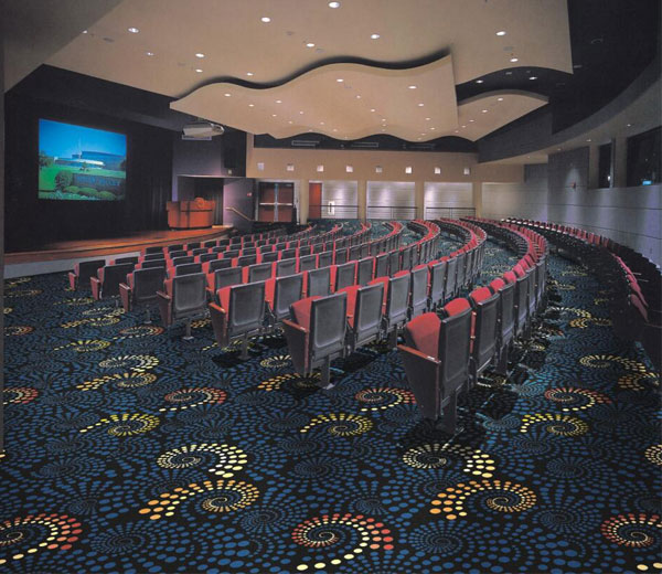  Carpet For Cinema or KTV 