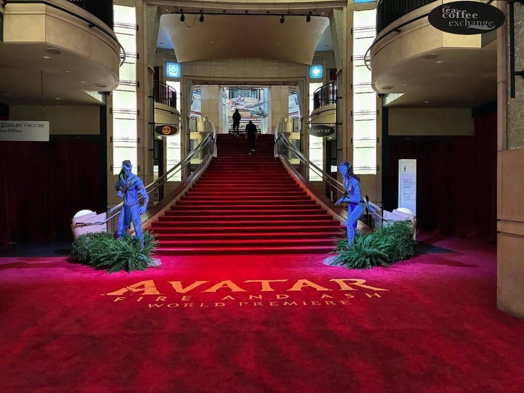 Premium red event carpets roll providing a luxury entrance for a VIP ceremony