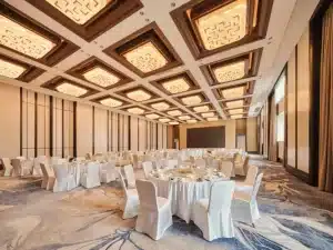 Anti-Fray Axminster Hotel Carpet for Banquet Halls and Reception Areas