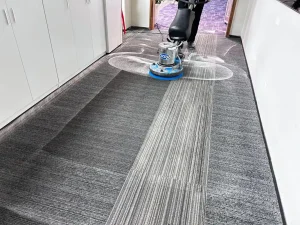 Expert guide on hotel carpet cleaning