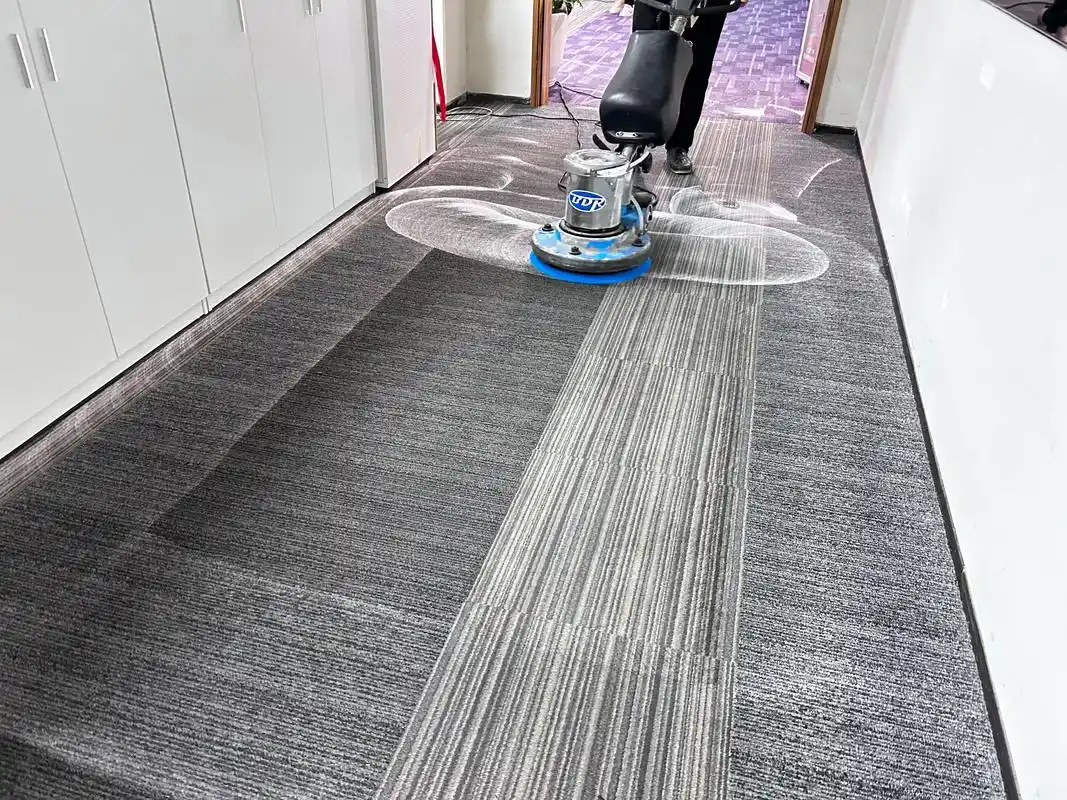 Expert guide on hotel carpet cleaning
