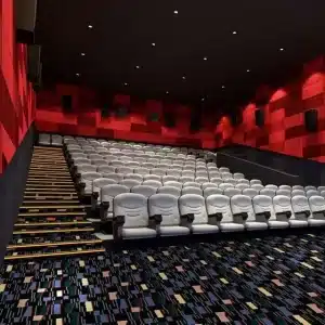 Custom Cinema Carpet Manufacturer | Nylon & Axminster Carpet for Movie Theaters